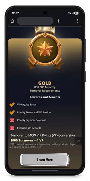 Mega Casino World vip
